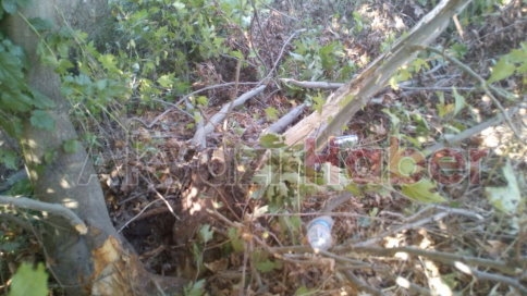 Dokurcun’da Otomobil Şarampole Uçtu