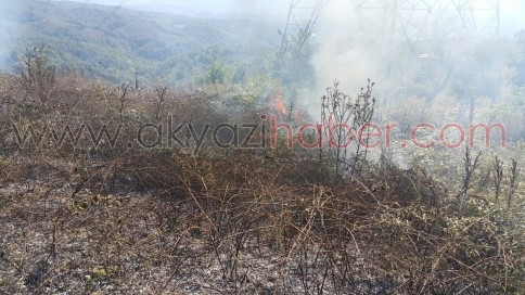 Yeniköy'de Yakılan Anız Kontrolden Çıktı