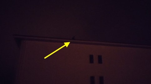 Herkes Kendi Bayrağına Saygı duysun deyince Ortalık Karıştı