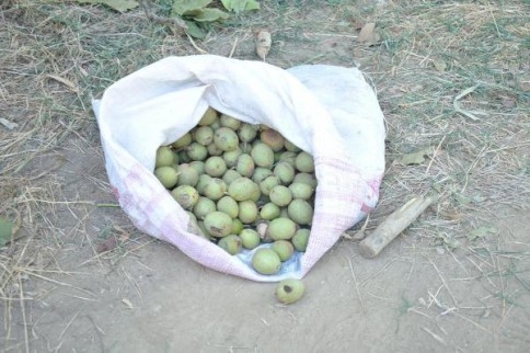 Hırsızlar Arabalarını bırakarak kaçmak zorunda kaldı