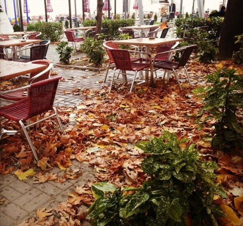 Kenan Sofuoğlu Parkı İhalesi Sonuçlandı