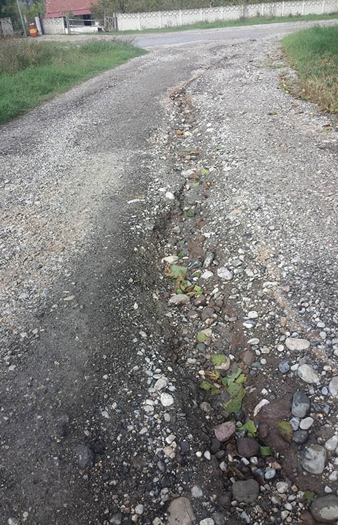 Yolun Ortasından Dere Geçiyor