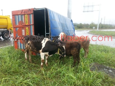 Akyazı Otoban Gişeleri Önünde Kaza 2 Yaralı