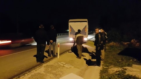 Kaza Sonrası İnek Telef Oldu