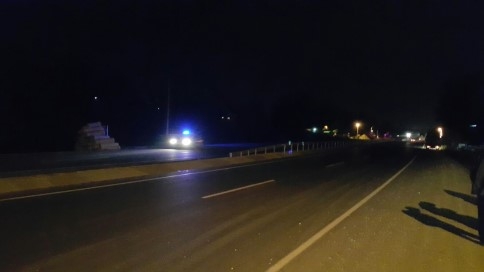 Kaza Sonrası İnek Telef Oldu