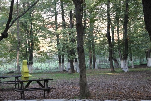 Akyazı Tabiat ve Orman Parkında Çalışmalar Tamamlanıyor