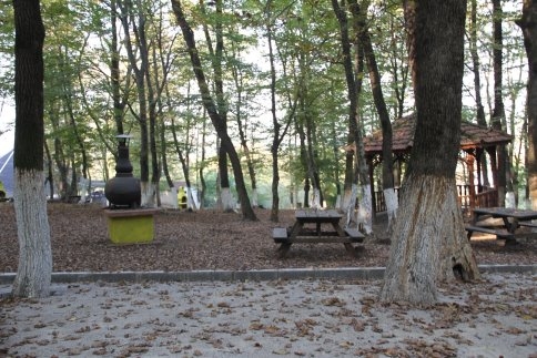 Akyazı Tabiat ve Orman Parkında Çalışmalar Tamamlanıyor