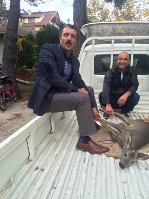 YOLUNU ŞAŞIRAN YAVRU GEYİK 