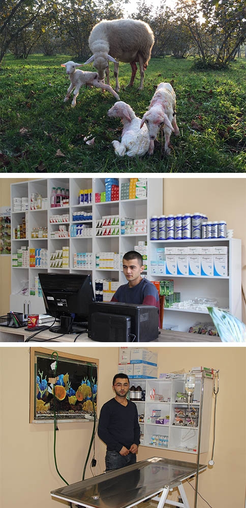 Akyazı'nın İlk Petshop Mağazasına Hoş Geldiniz