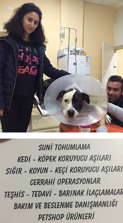 Akyazı'nın İlk Petshop Mağazasına Hoş Geldiniz