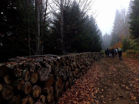 Doğaseverler Keremali’ye Yürüdü