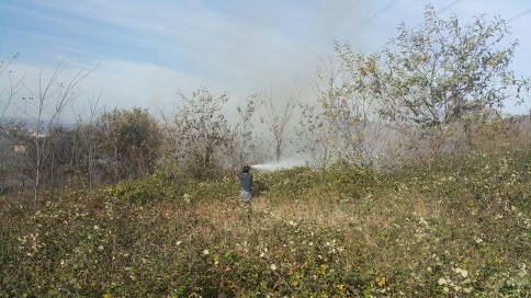 Kuzuluk Orman Park Civarında Yangın Çıktı