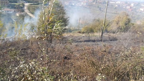 Kuzuluk Orman Park Civarında Yangın Çıktı