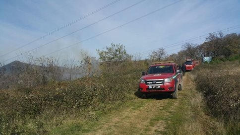 Kuzuluk Orman Park Civarında Yangın Çıktı