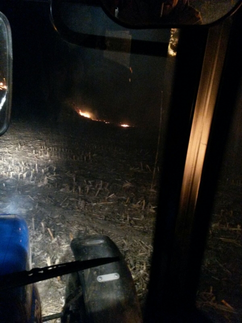 ANIZ YANGINLARINA DİKKAT EDİN