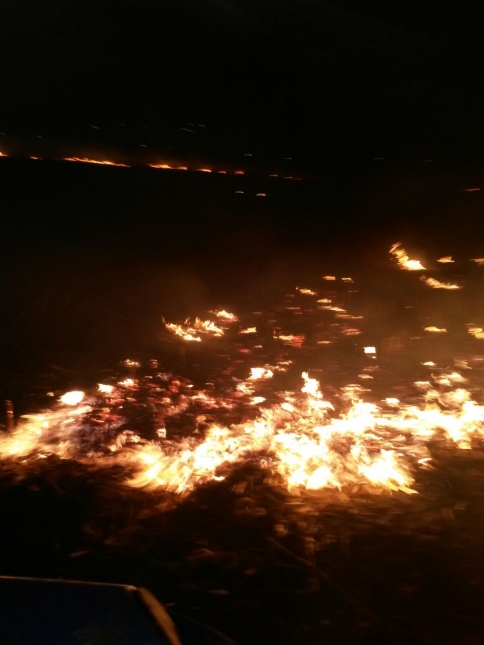 ANIZ YANGINLARINA DİKKAT EDİN