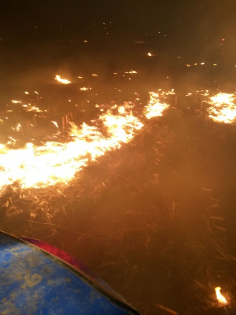 ANIZ YANGINLARINA DİKKAT EDİN