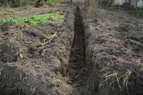 Akyazı Türkormanköy’de Alt Yapı Çalışmaları Tamamlanıyor