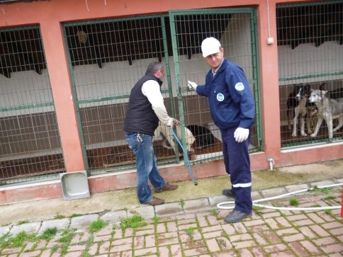 Sağlık İşleri Müdürlüğünden Sahipsiz Sokak Hayvanları İçin Sağduyu Çağrısı