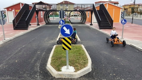 Arabayı Gören Trafik Parka Koşuştu