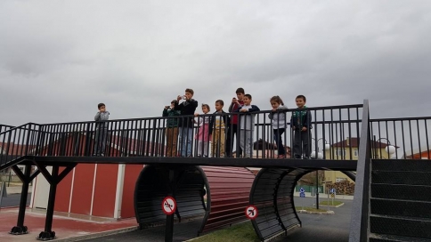 Arabayı Gören Trafik Parka Koşuştu