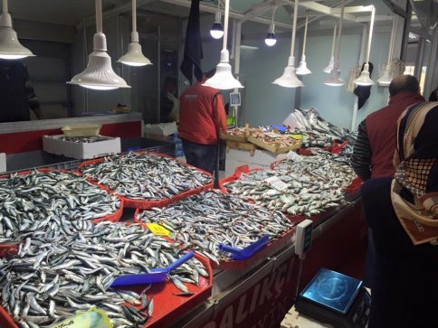 Hendekli’de Taze Balığa  Doyacak