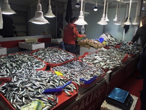 Hendekli’de Taze Balığa  Doyacak