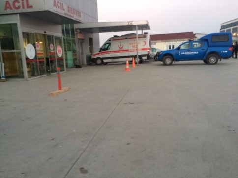 Üzerine Ağaç Devrilen İşçi Hayatını Kaybetti 