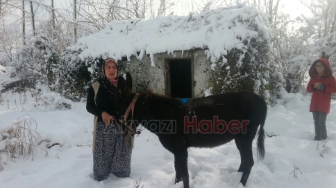 Bahçesine Gelen Eşeğe Bakmak Zorunda Kaldı
