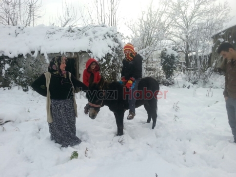 Bahçesine Gelen Eşeğe Bakmak Zorunda Kaldı