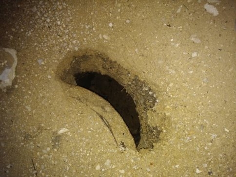 Yağmur Yağdıkça Çukur Açılıyor