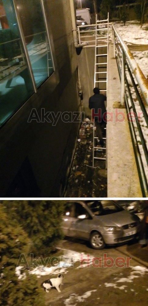 Kedi Boşlukta Mahsur Kaldı