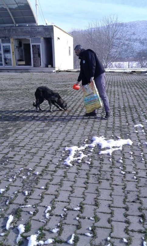 Sokak Hayvanlarını Kar ve Kışta Belediye Beslemeye Devam Ediyor