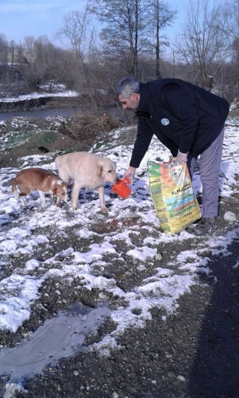 Sokak Hayvanlarını Kar ve Kışta Belediye Beslemeye Devam Ediyor