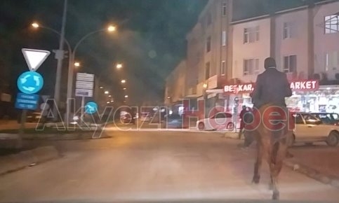 Akyazı Trafiğinde SIĞIR Görmüştük Fakat AT İlk Oluyor ( VİDEO )