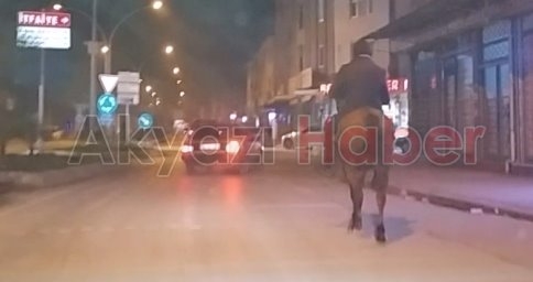 Akyazı Trafiğinde SIĞIR Görmüştük Fakat AT İlk Oluyor ( VİDEO )