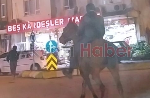 Akyazı Trafiğinde SIĞIR Görmüştük Fakat AT İlk Oluyor ( VİDEO )