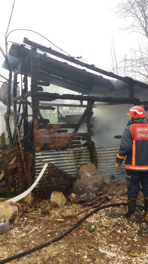 Odunlukta Çıkan Yangın Korkuttu