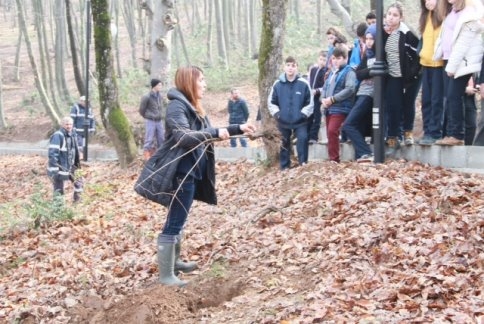 Orman Park Yaza Hazır