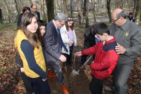 Orman Park Yaza Hazır