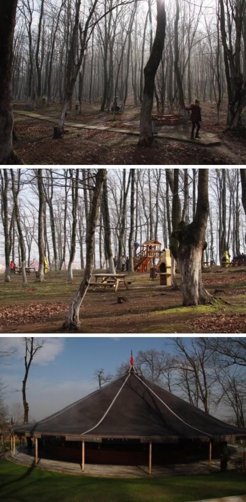 Orman Park Yaza Hazır