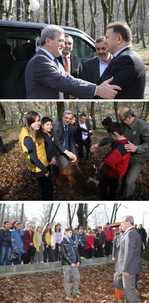 Orman Park Yaza Hazır