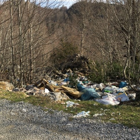 Doğayı Böyle Katlediyorlar