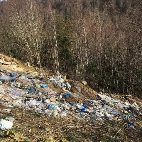 Doğayı Böyle Katlediyorlar