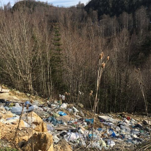 Doğayı Böyle Katlediyorlar