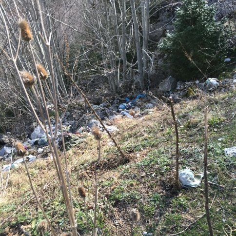 Doğayı Böyle Katlediyorlar