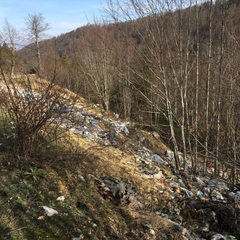 Doğayı Böyle Katlediyorlar