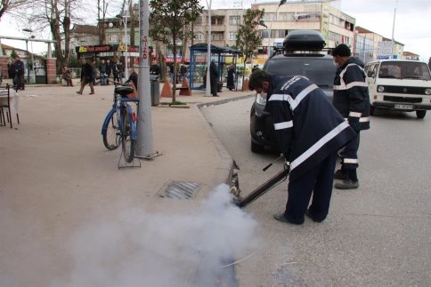 Akyazı’nın Tüm Mahelerinde Larva Mücadelesi Başladı