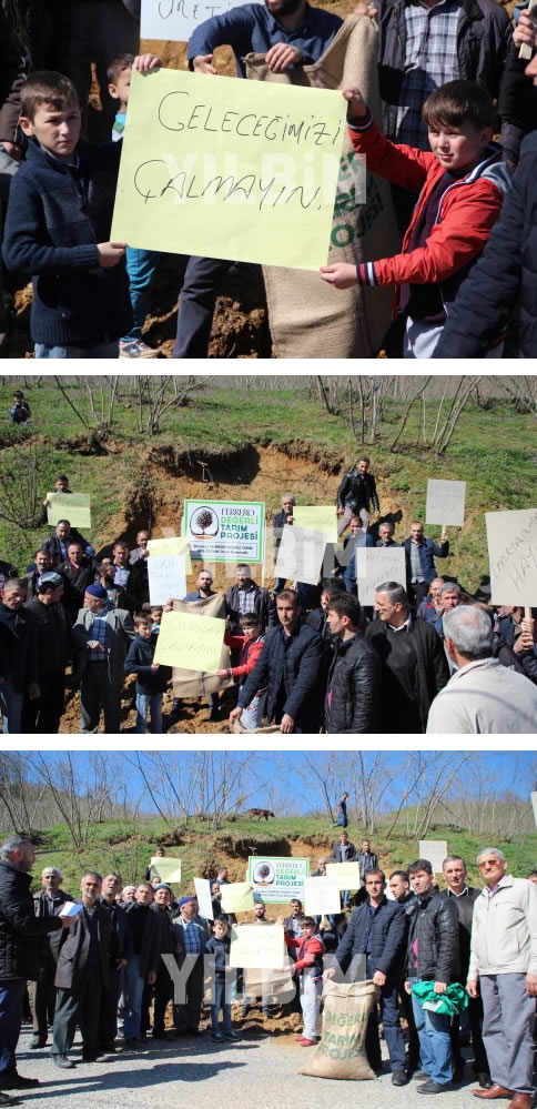 Fındık Üreticileri Düşen Fındık Fiyatlarını Protesto Ettiler