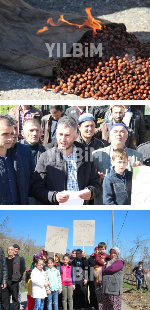 Fındık Üreticileri Düşen Fındık Fiyatlarını Protesto Ettiler